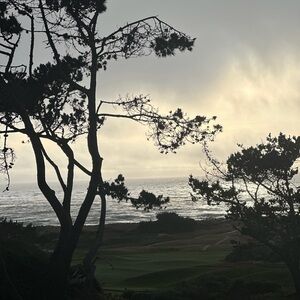 Meet your Posher, Ali